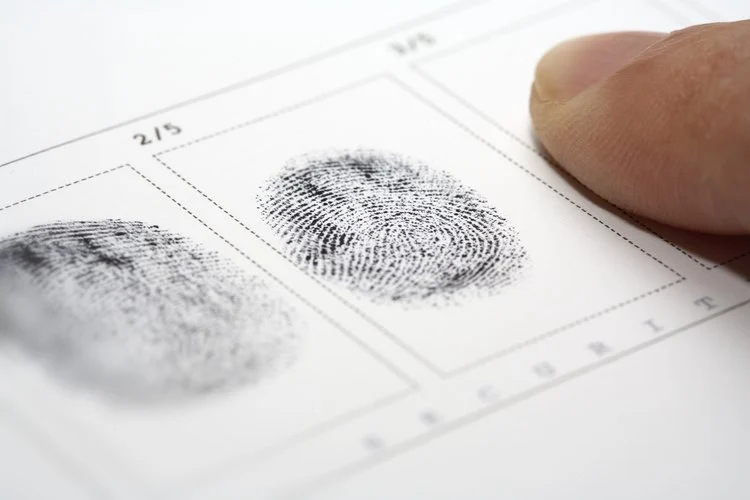 How to Check on My Fingerprint & Background Check Status | Legal Beagle